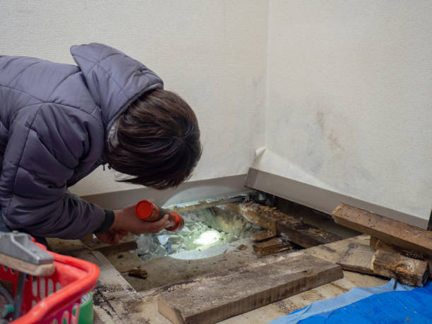 Best Post-Remediation Verification Testing  in Walden, NY