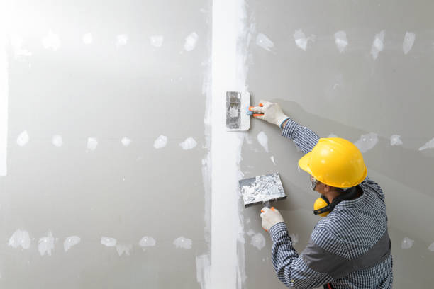 Trusted Walden, NY Mold Removal Experts